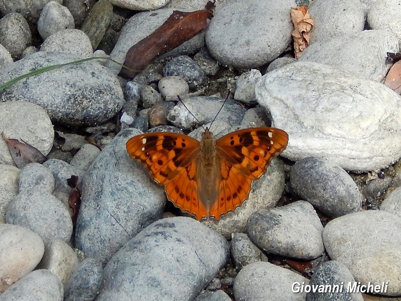 Parco del Ticino: incontri del 26.7.15